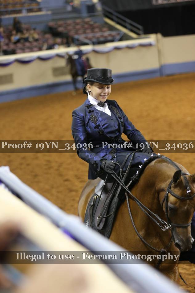 Proof 19YN_34036