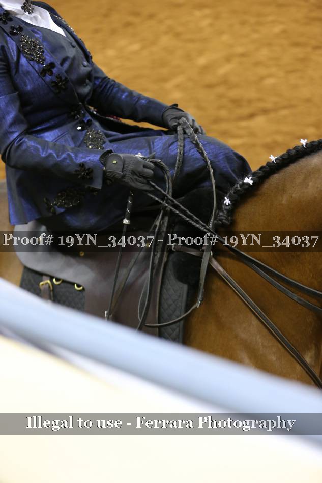 Proof 19YN_34037