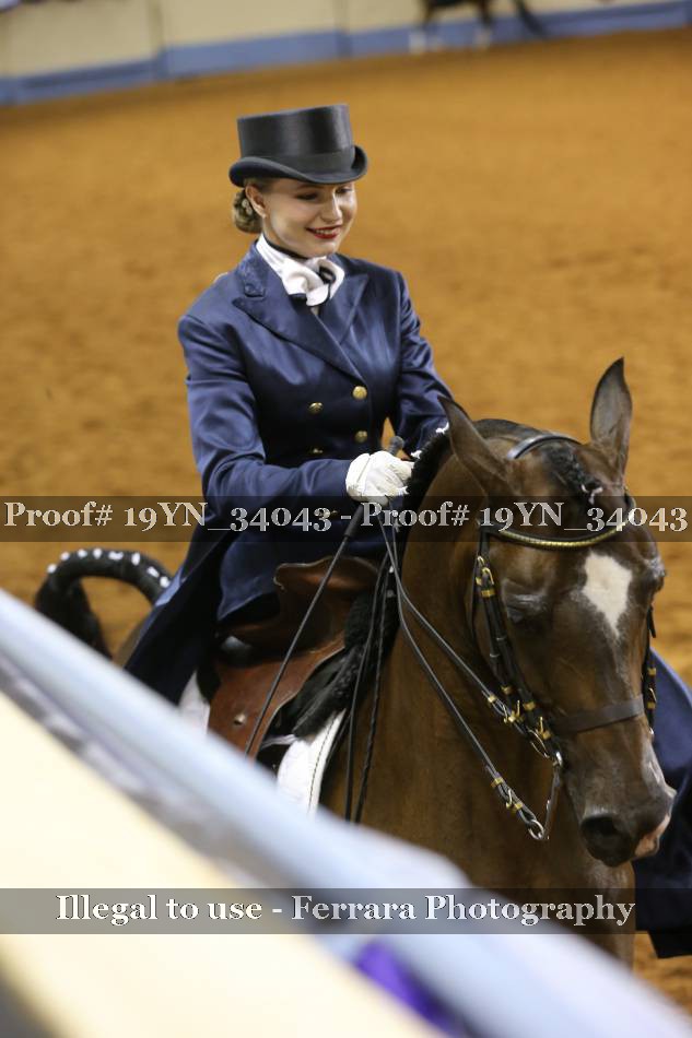 Proof 19YN_34043