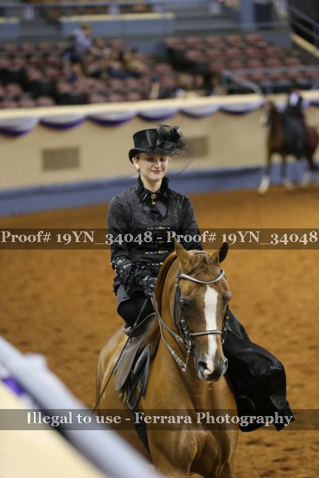 Proof 19YN_34048