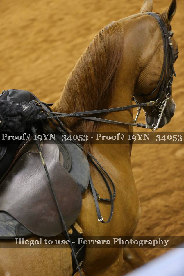 Proof 19YN_34053