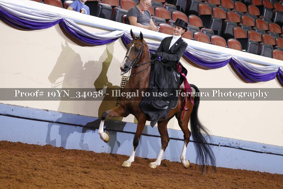 Proof 19YN_34058