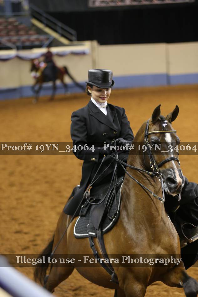 Proof 19YN_34064