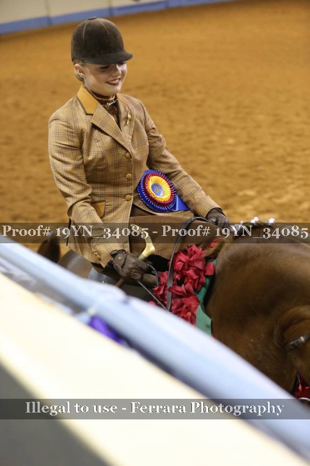 Proof 19YN_34085
