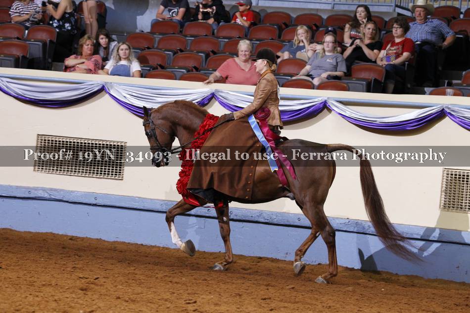 Proof 19YN_34093