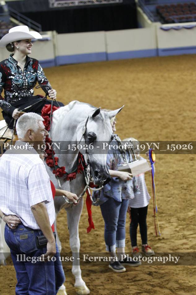 Proof 19YN_15026