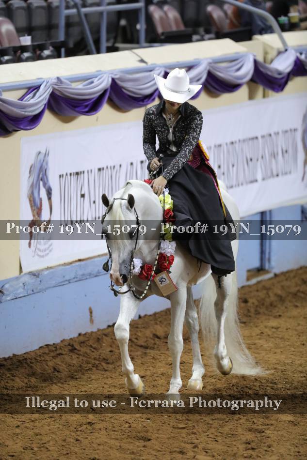 Proof 19YN_15079