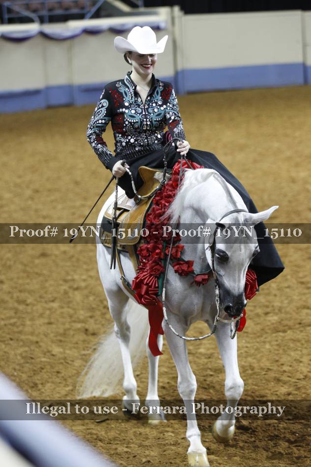 Proof 19YN_15110