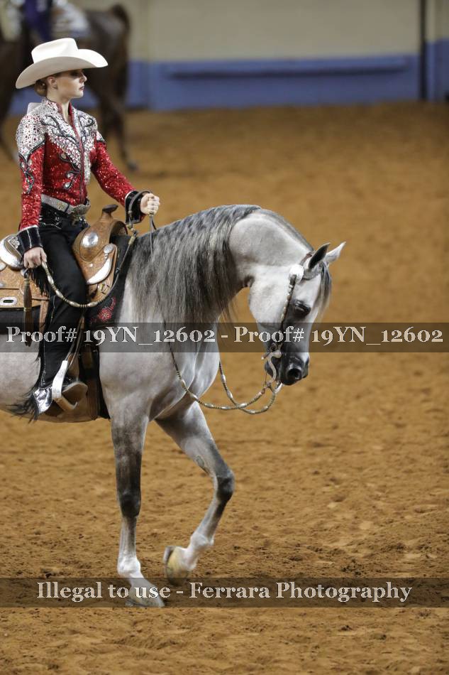 Proof 19YN_12602