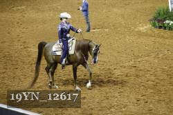 19YN_12617 proof