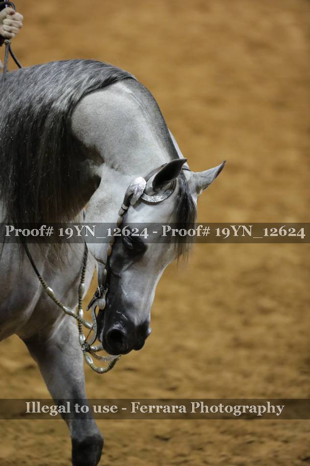 Proof 19YN_12624