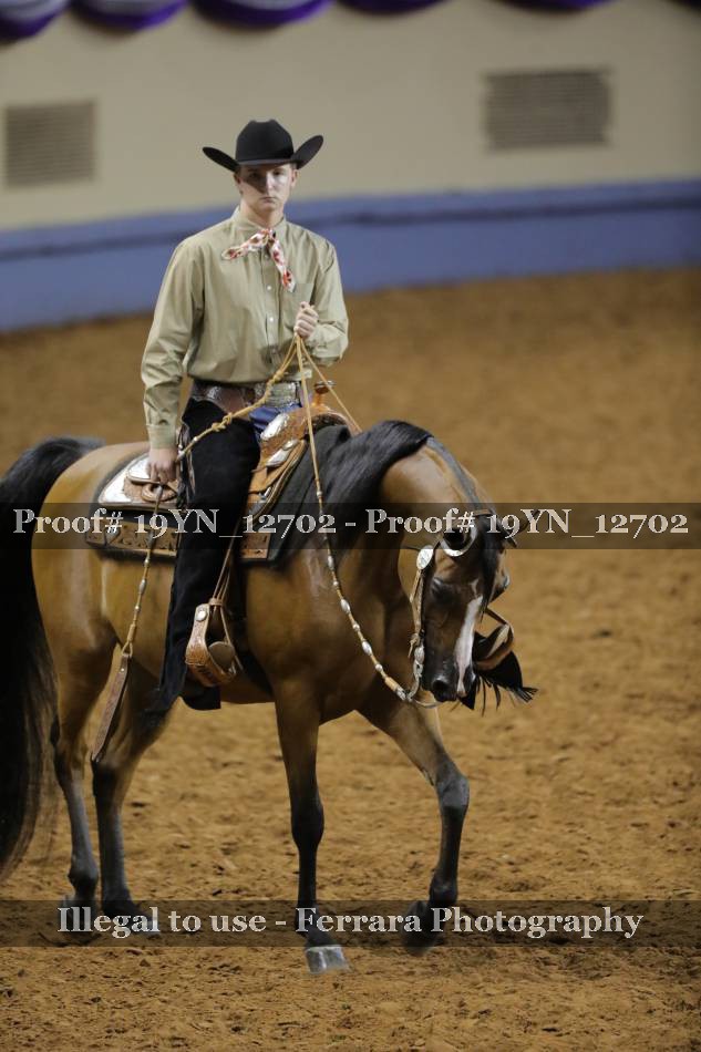 Proof 19YN_12702