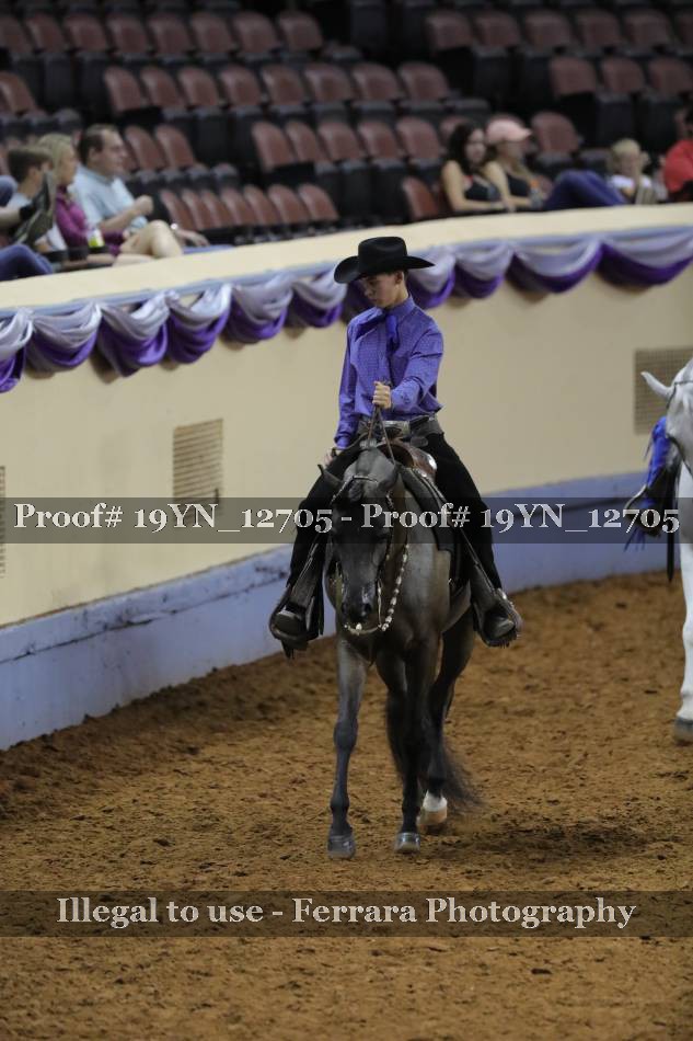 Proof 19YN_12705