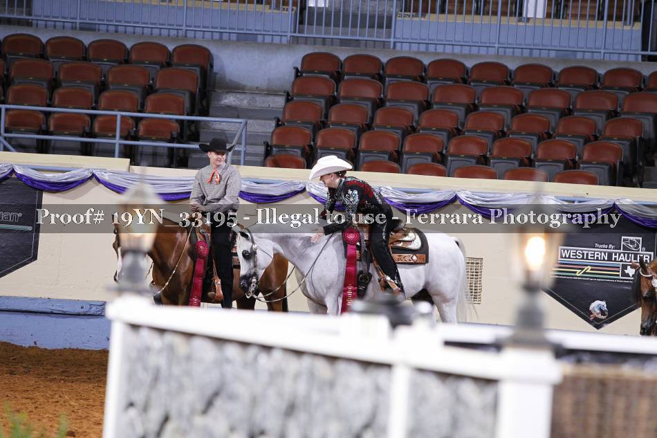 Proof 19YN_33195