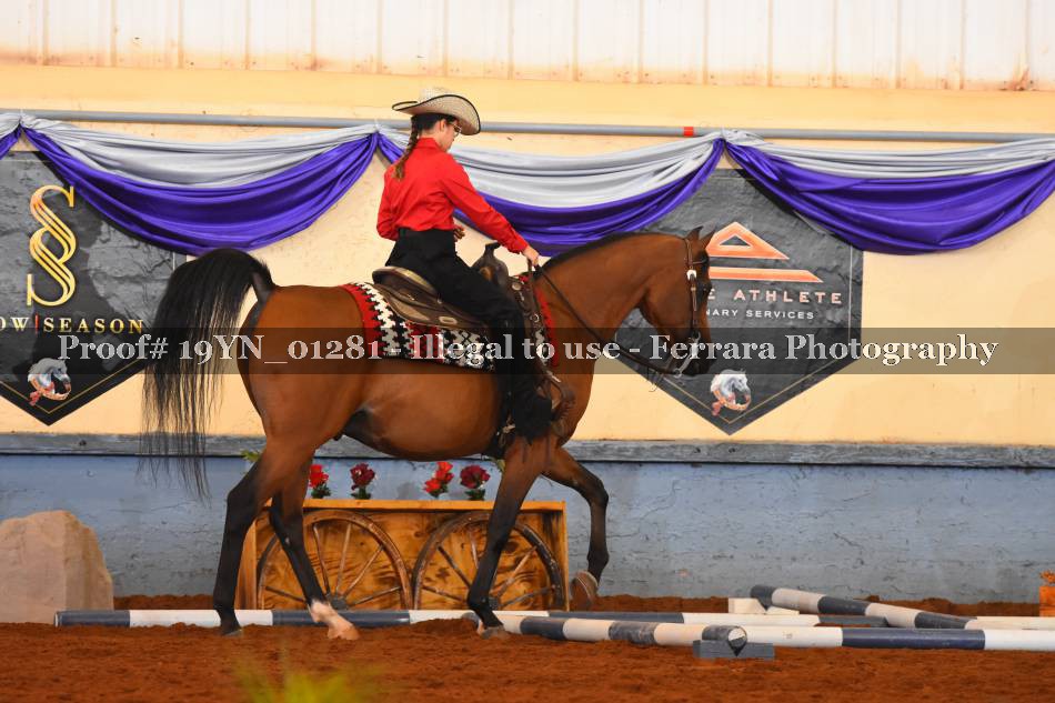 Proof 19YN_01281