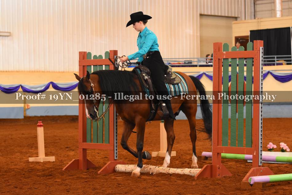 Proof 19YN_01285
