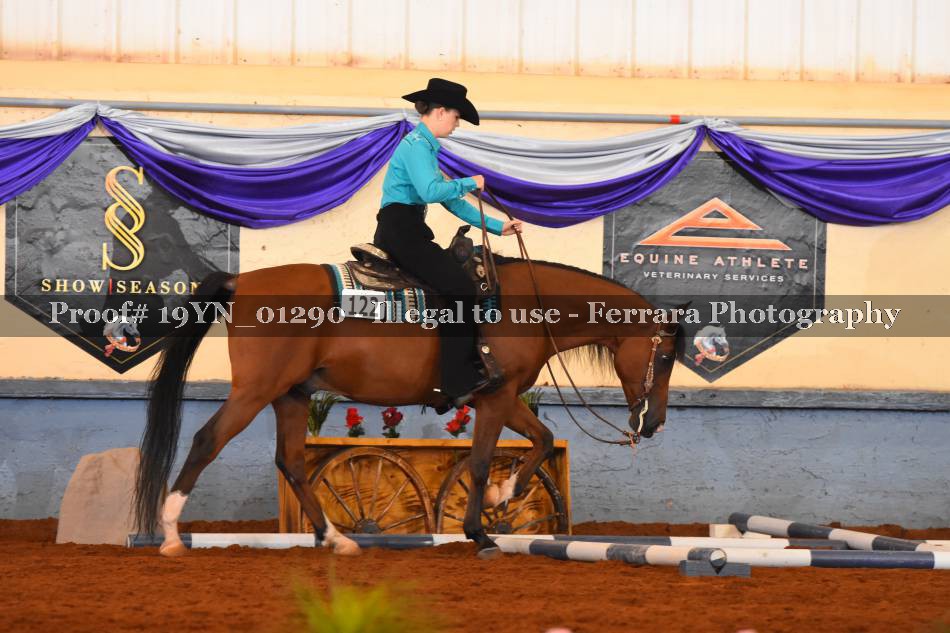 Proof 19YN_01290