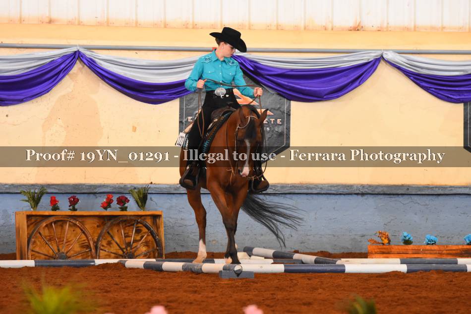 Proof 19YN_01291