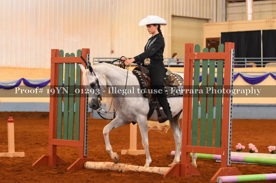 Proof 19YN_01293