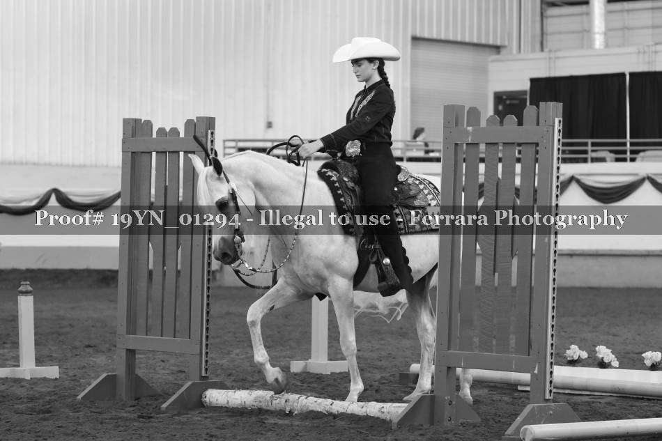 Proof 19YN_01294