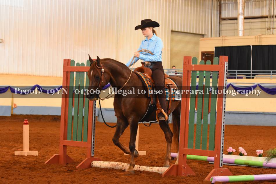 Proof 19YN_01306