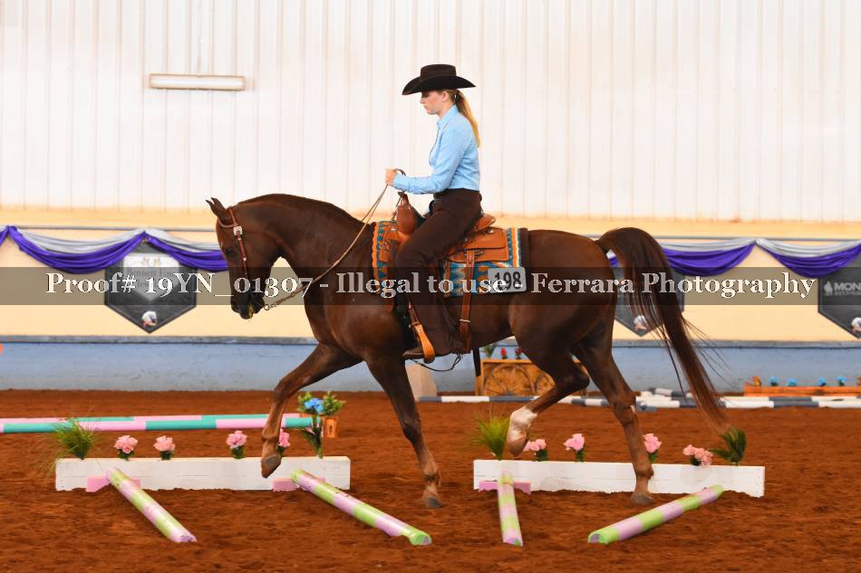 Proof 19YN_01307