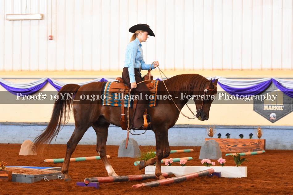 Proof 19YN_01310