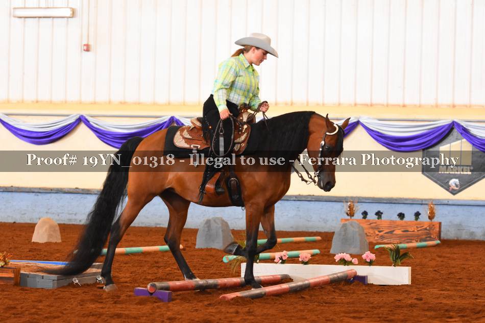 Proof 19YN_01318