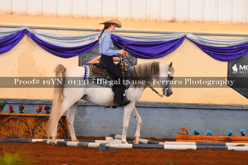 Proof 19YN_01331