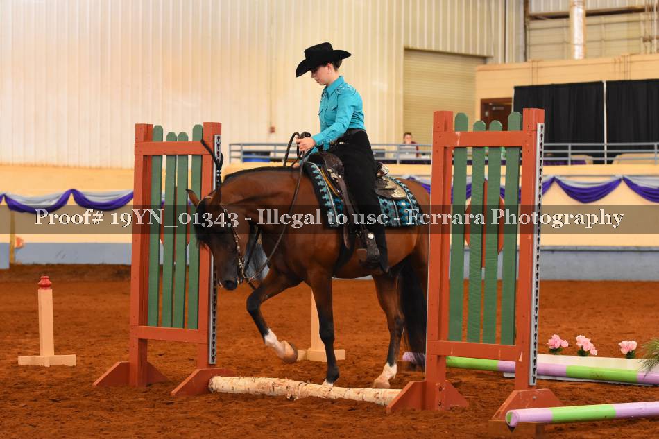 Proof 19YN_01343