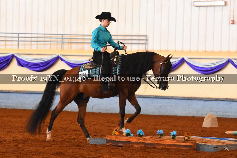 Proof 19YN_01346