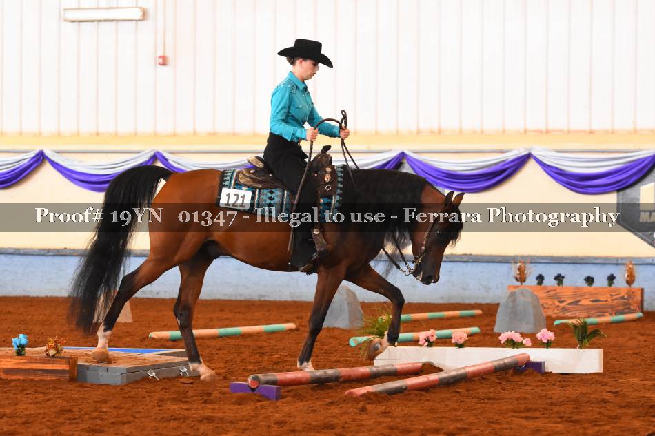 Proof 19YN_01347