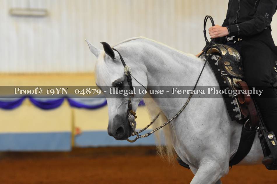 Proof 19YN_04879