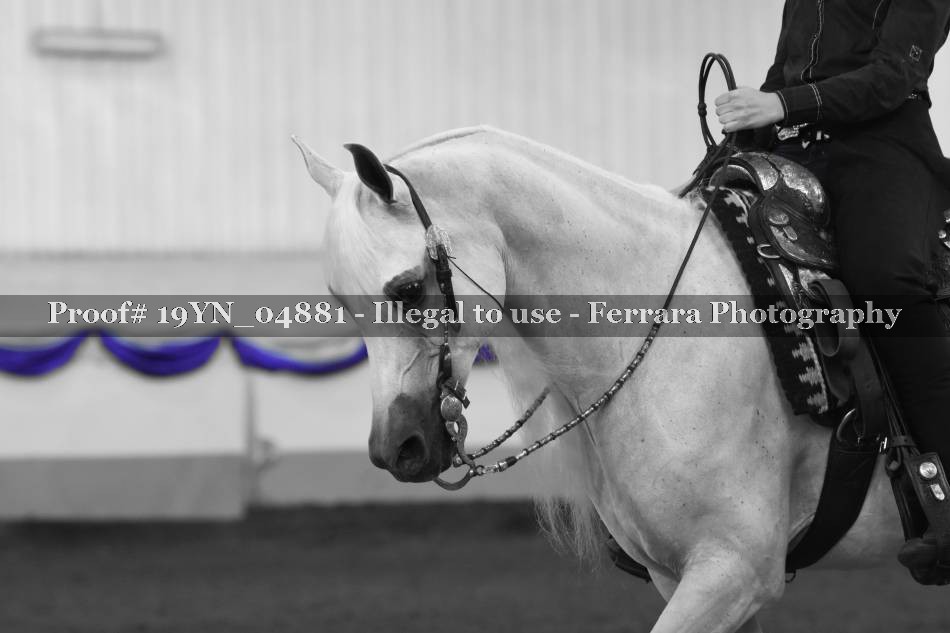 Proof 19YN_04881