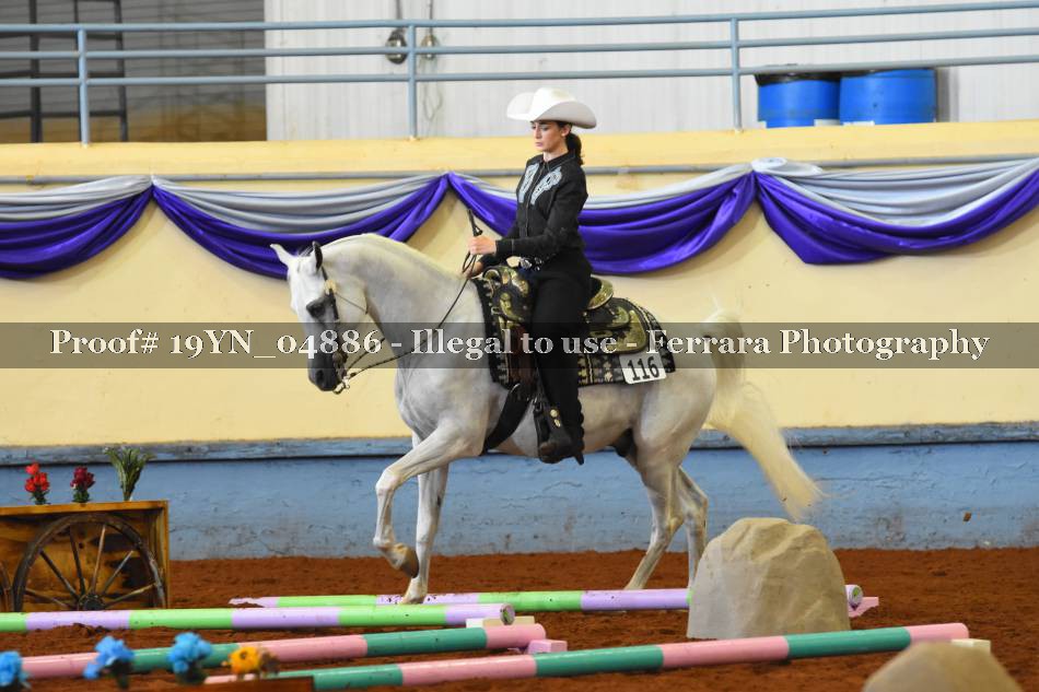 Proof 19YN_04886