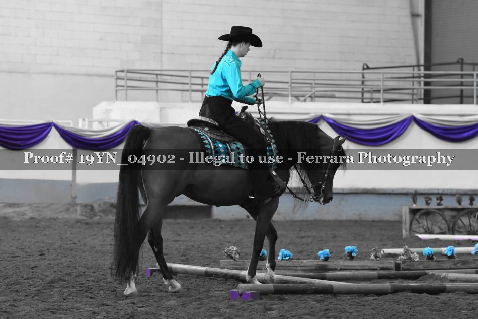 Proof 19YN_04902
