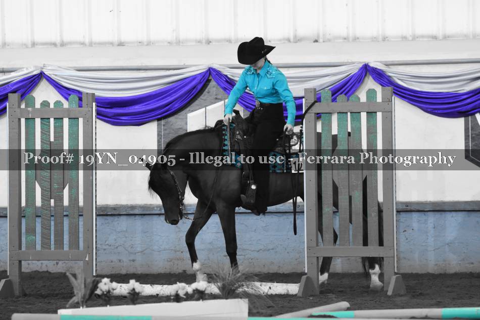 Proof 19YN_04905