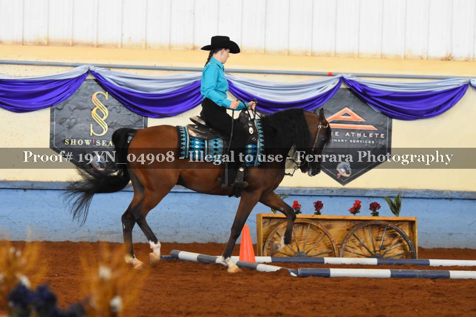 Proof 19YN_04908