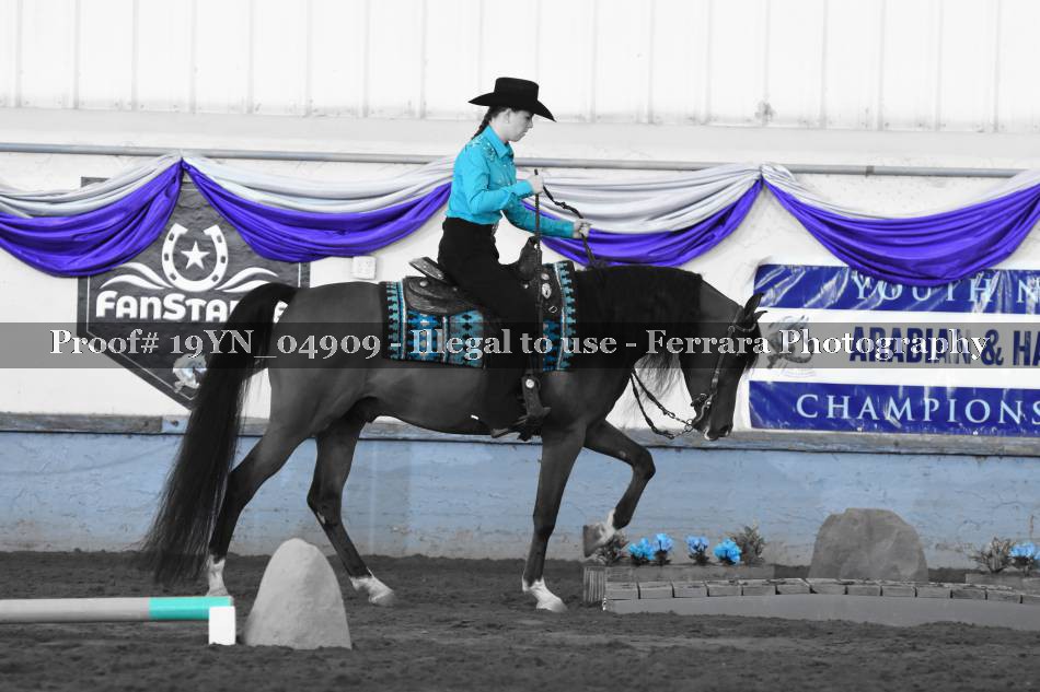 Proof 19YN_04909