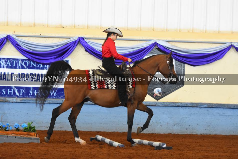 Proof 19YN_04934