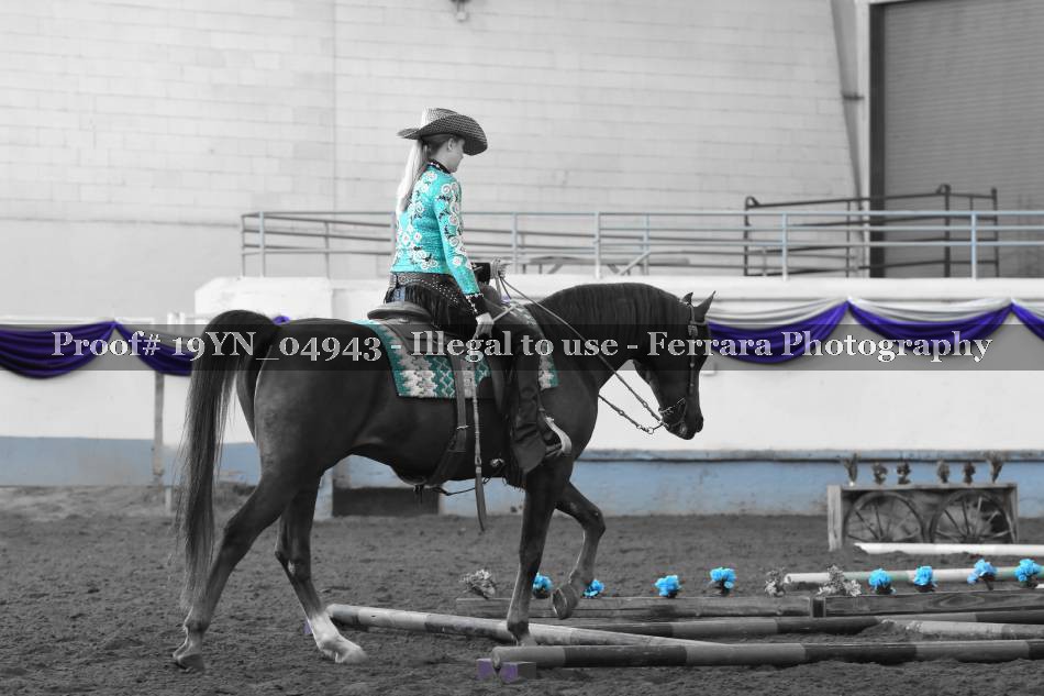 Proof 19YN_04943