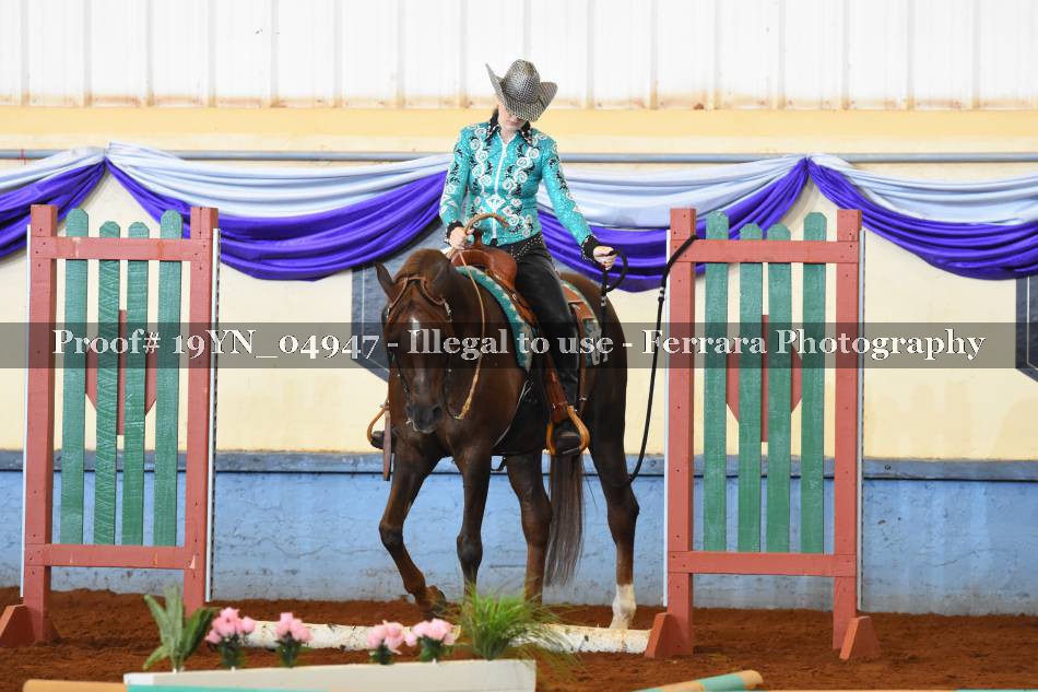 Proof 19YN_04947
