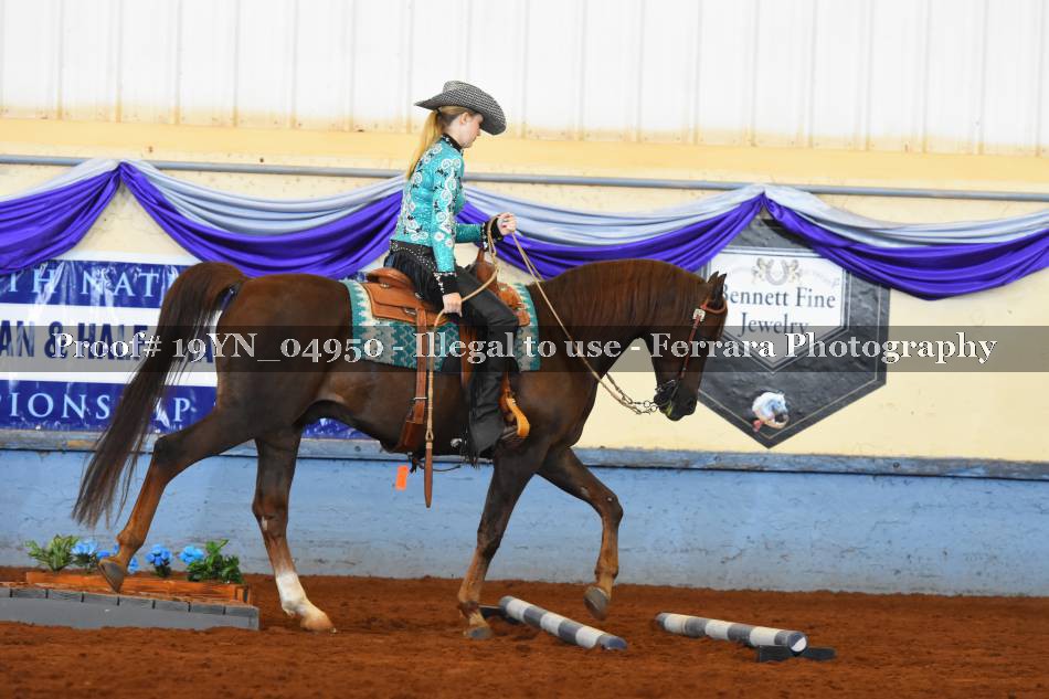 Proof 19YN_04950