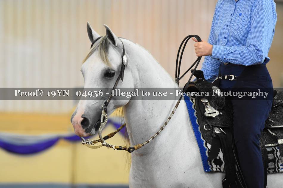 Proof 19YN_04956