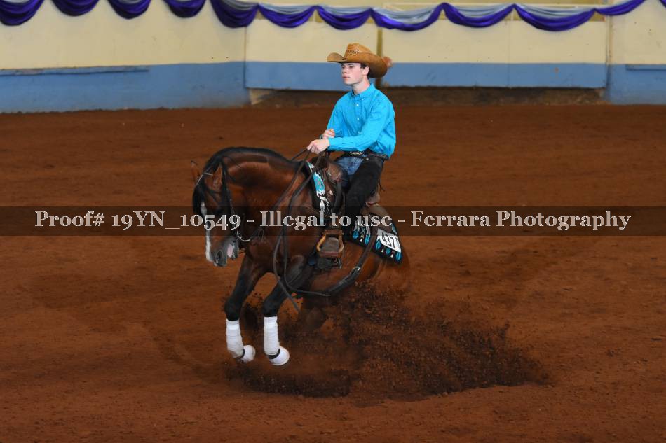 Proof 19YN_10549