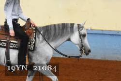 19YN_21084 proof