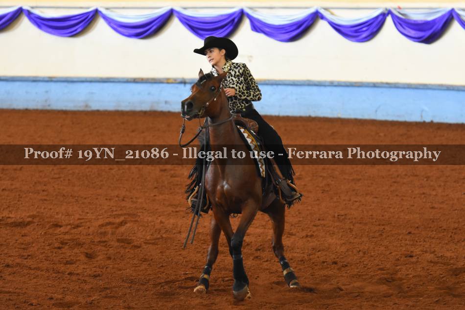 Proof 19YN_21086