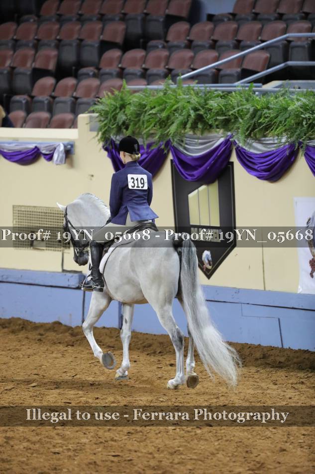 Proof 19YN_05668
