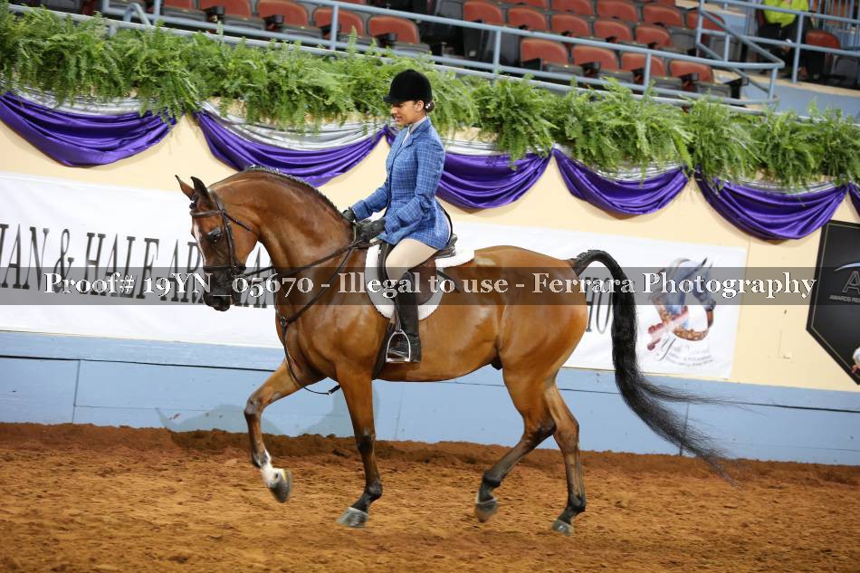 Proof 19YN_05670