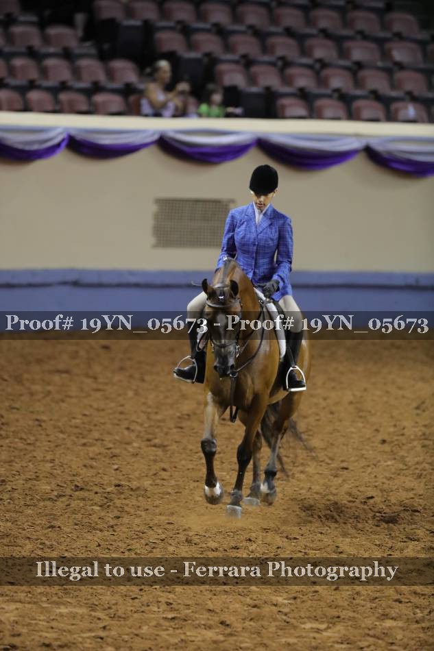 Proof 19YN_05673